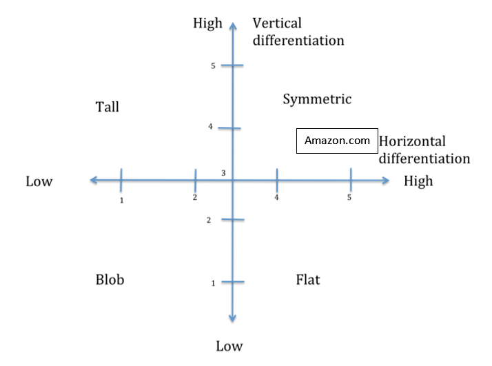 Organizational Chart Amazon